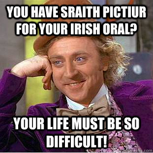 you have sraith pictiur for your irish oral? Your life must be so difficult!  Condescending Wonka