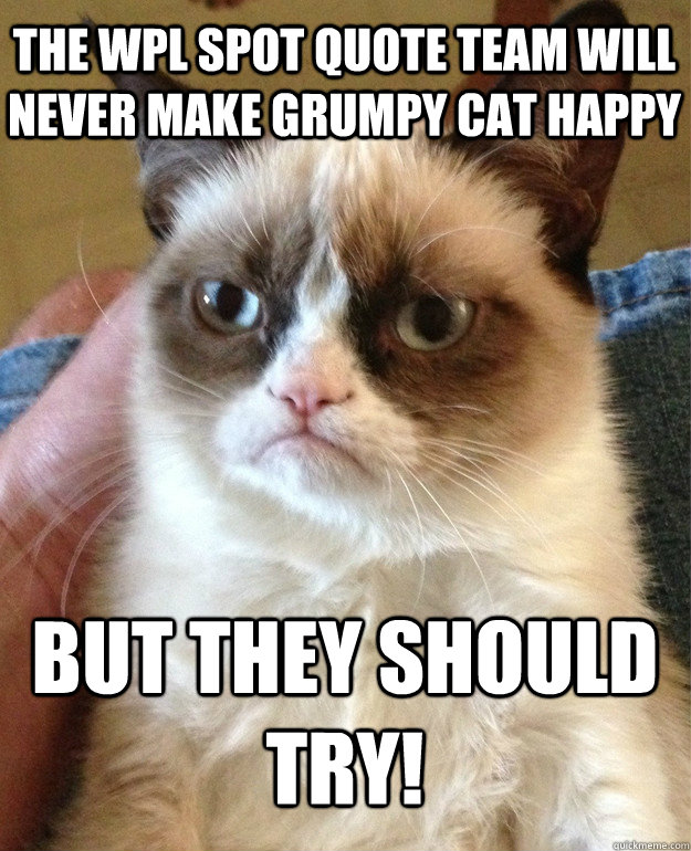 The WPL Spot quote team will never make grumpy cat happy but they should try!  Grumpy Cat