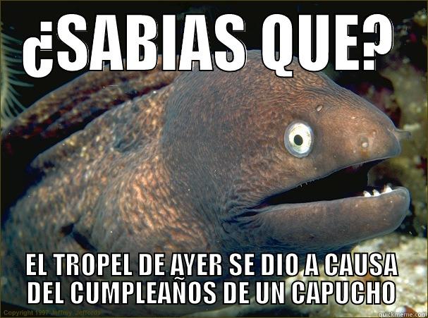 ¿SABIAS QUE? EL TROPEL DE AYER SE DIO A CAUSA DEL CUMPLEAÑOS DE UN CAPUCHO Bad Joke Eel