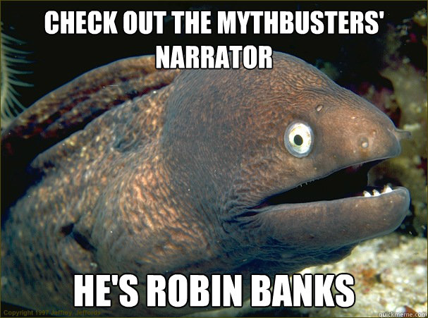 check out the mythbusters' narrator he's robin banks - check out the mythbusters' narrator he's robin banks  Bad Joke Eel