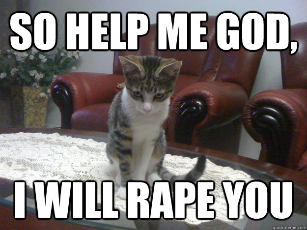 So help me god, I will rape you  - So help me god, I will rape you   sheeba