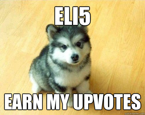 ELI5 earn my upvotes  Baby Courage Wolf