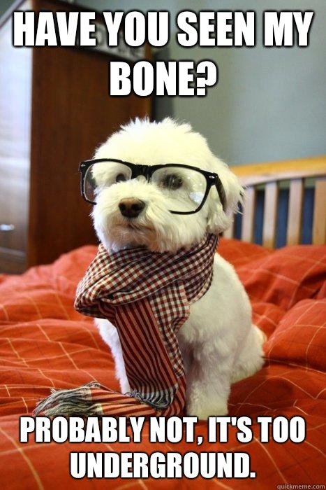 Have you seen my bone? Probably not, it's too underground.  Hipster Dog