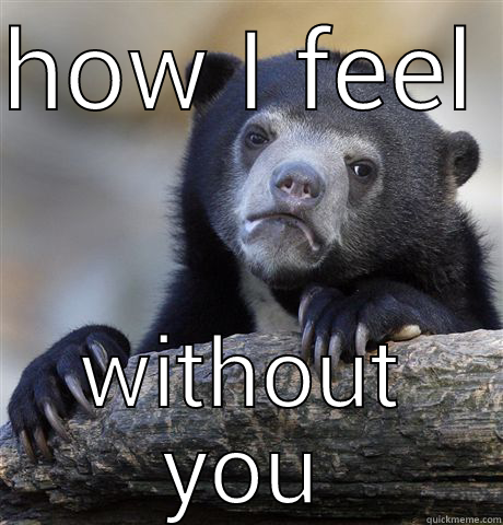 HOW I FEEL WITHOUT YOU Confession Bear