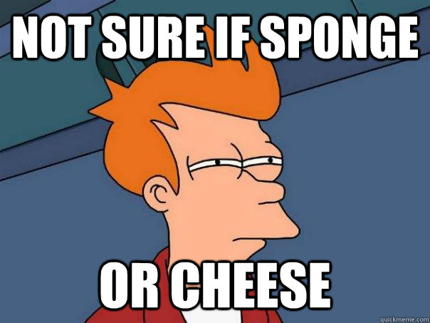 Not sure if Sponge Or cheese  Futurama Fry