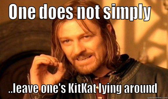 ONE DOES NOT SIMPLY   ..LEAVE ONE'S KITKAT LYING AROUND One Does Not Simply