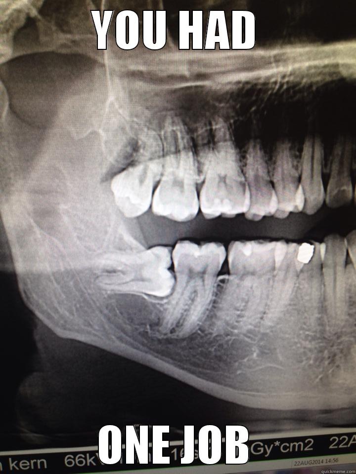 Wisdom Teeth - YOU HAD ONE JOB Misc