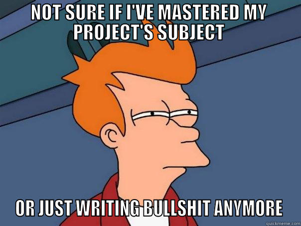 Writing my literature review - NOT SURE IF I'VE MASTERED MY PROJECT'S SUBJECT OR JUST WRITING BULLSHIT ANYMORE Futurama Fry