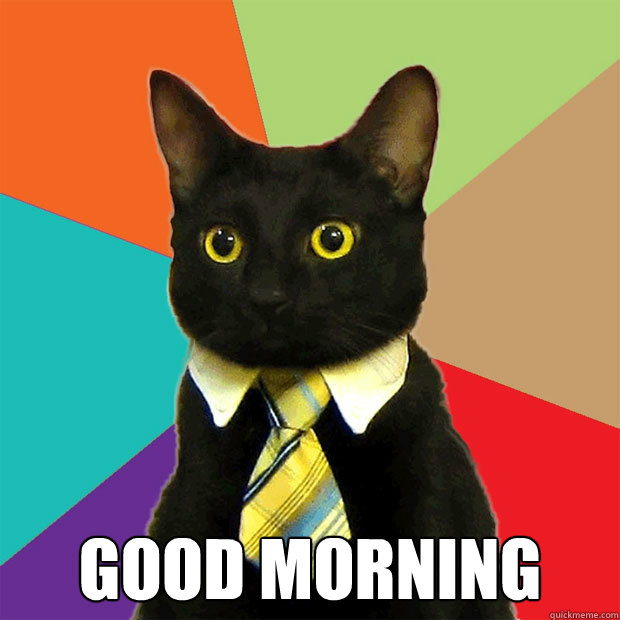  Good Morning  Business Cat