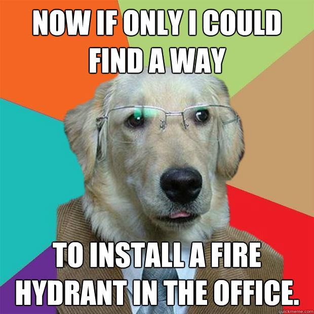 now If only I could find a way to install a fire hydrant in the office.  Business Dog