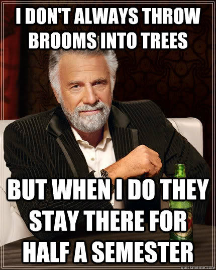 I don't always throw brooms into trees but when I do they stay there for half a semester  The Most Interesting Man In The World