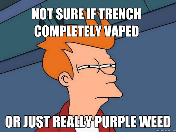 Not sure if trench completely vaped or just really purple weed  Futurama Fry