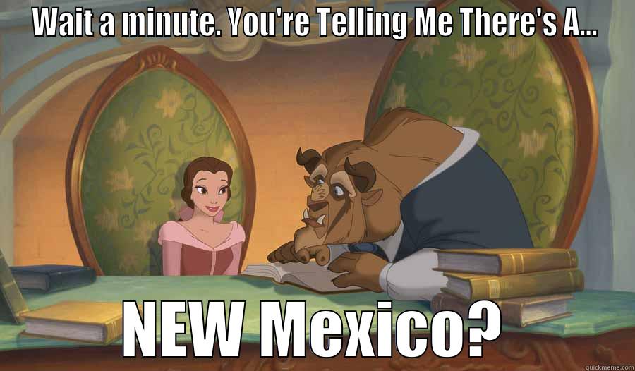 WAIT A MINUTE. YOU'RE TELLING ME THERE'S A... NEW MEXICO? Misc