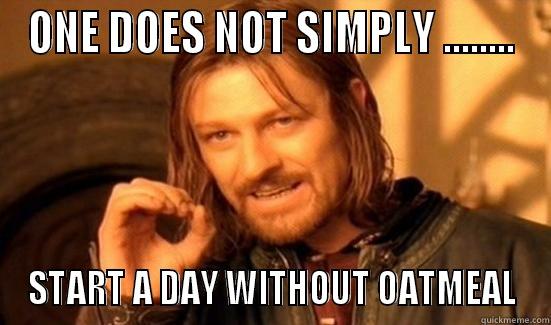 ONE DOES NOT SIMPLY ........ START A DAY WITHOUT OATMEAL Boromir