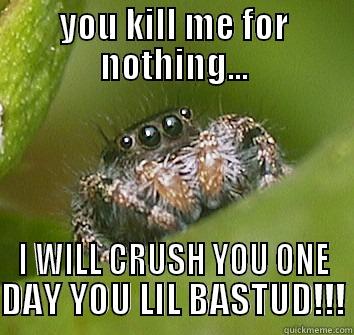 YOU KILL ME FOR NOTHING... I WILL CRUSH YOU ONE DAY YOU LIL BASTUD!!! Misunderstood Spider