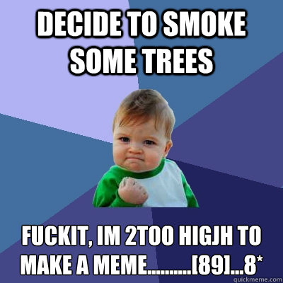 decide to smoke some trees fuckit, im 2too higjh to make a meme..........[89]...8*  Success Kid