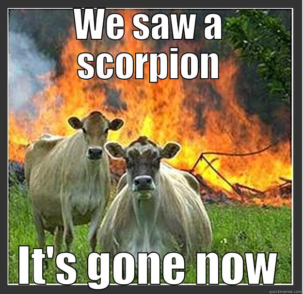 Scorpion exterminators - WE SAW A SCORPION IT'S GONE NOW Evil cows