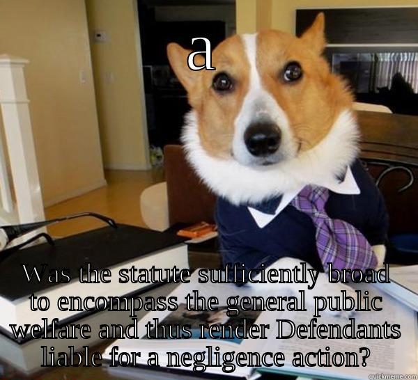 A WAS THE STATUTE SUFFICIENTLY BROAD TO ENCOMPASS THE GENERAL PUBLIC WELFARE AND THUS RENDER DEFENDANTS LIABLE FOR A NEGLIGENCE ACTION? Lawyer Dog