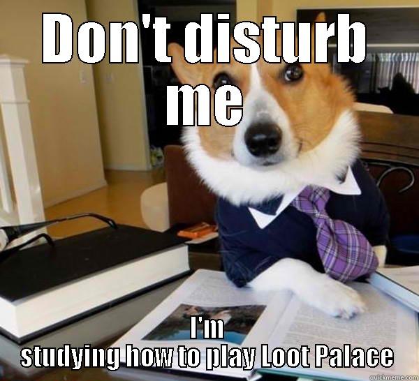 DON'T DISTURB ME I'M STUDYING HOW TO PLAY LOOT PALACE Lawyer Dog