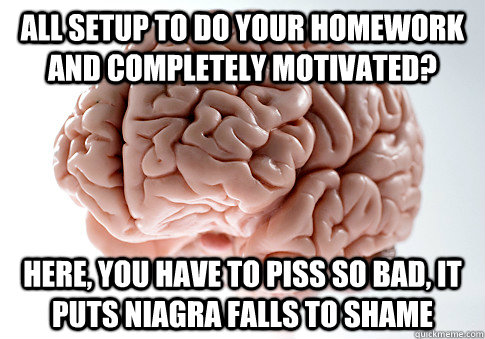 all setup to do your homework and completely motivated? here, you have to piss so bad, it puts niagra falls to shame  Scumbag Brain