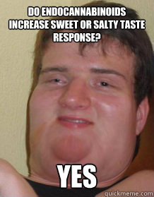 Do endocannabinoids increase sweet or salty taste response? YES  Fat 10 guy