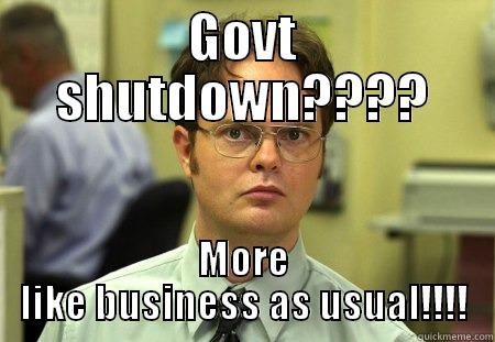 Government shut down - GOVT SHUTDOWN???? MORE LIKE BUSINESS AS USUAL!!!! Schrute