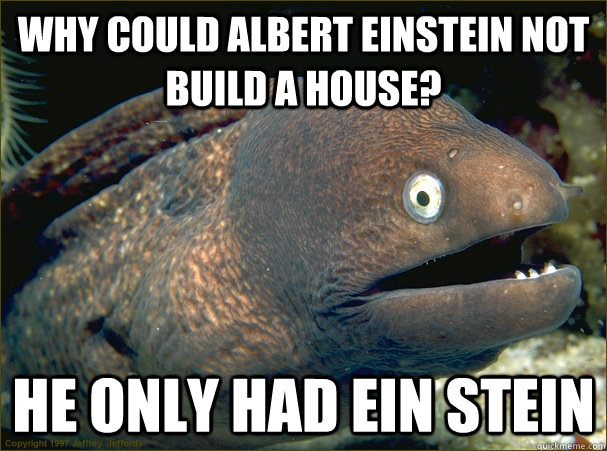 Why could Albert Einstein not build a house? He only had ein stein  Bad Joke Eel