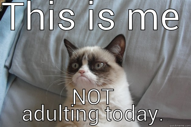 THIS IS ME  NOT ADULTING TODAY. Grumpy Cat