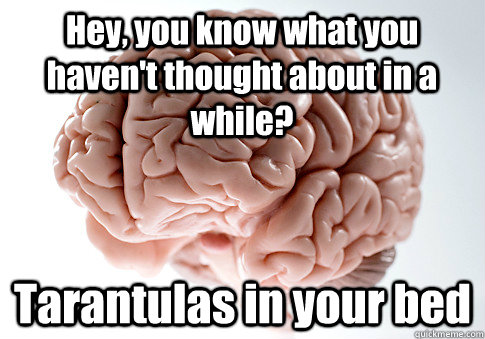 Hey, you know what you haven't thought about in a while? Tarantulas in your bed  Scumbag Brain