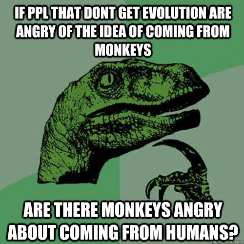 if ppl that dont get evolution are angry of the idea of coming from monkeys are there monkeys angry about coming from humans? - if ppl that dont get evolution are angry of the idea of coming from monkeys are there monkeys angry about coming from humans?  Philosoraptor