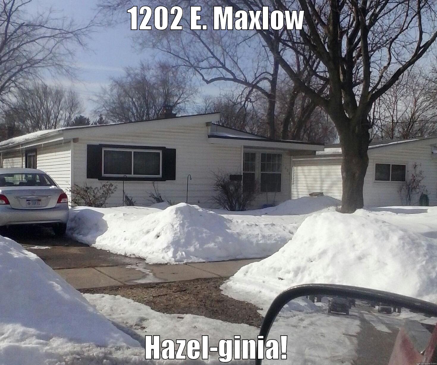 funny hazel park ha ha - 1202 E. MAXLOW HAZEL-GINIA! Misc