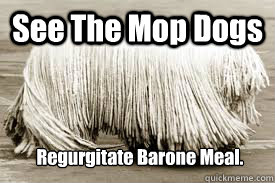 See The Mop Dogs Regurgitate Barone Meal. - See The Mop Dogs Regurgitate Barone Meal.  mop dogs funny comment