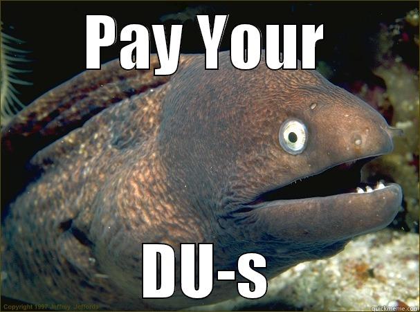 PAY YOUR DU-S Bad Joke Eel