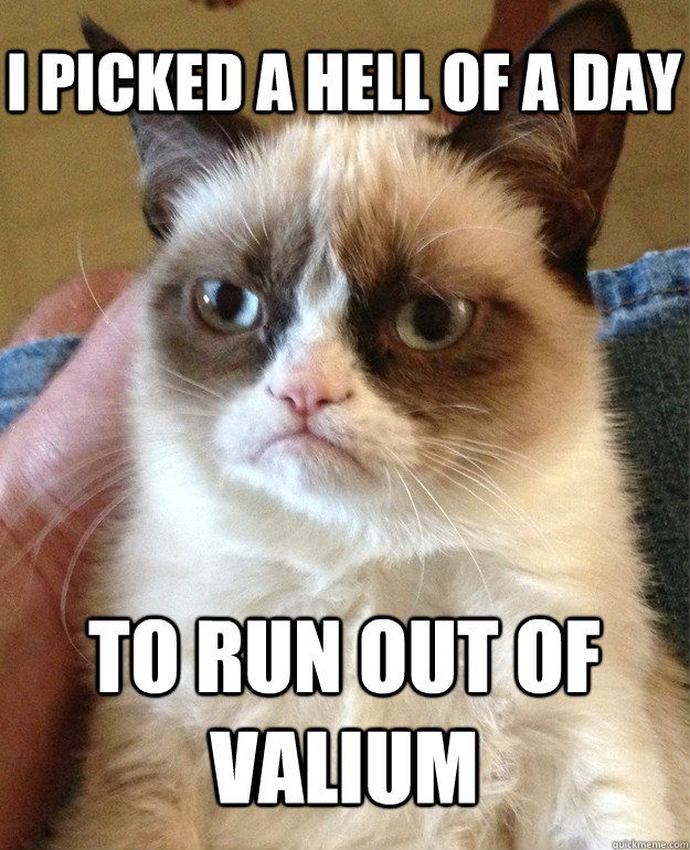 I PICKED A HELL OF A DAY TO RUN OUT OF VALIUM  Grumpy Cat