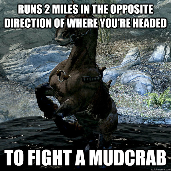 Runs 2 miles in the opposite direction of where you're headed To fight a mudcrab  