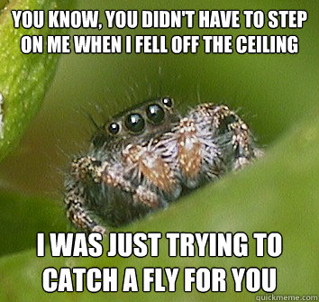 You know, you didn't have to step on me when i fell off the ceiling I was just trying to catch a fly for you  Misunderstood Spider