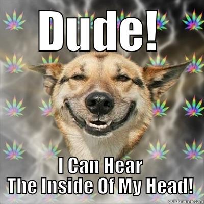 DUDE! I CAN HEAR THE INSIDE OF MY HEAD! Stoner Dog