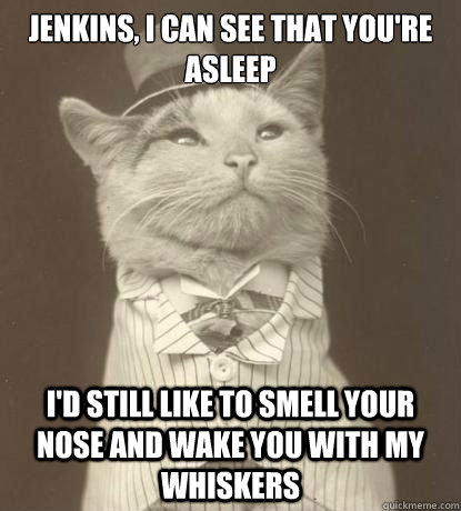 Jenkins, I can see that you're asleep I'd still like to smell your nose and wake you with my whiskers  Aristocat