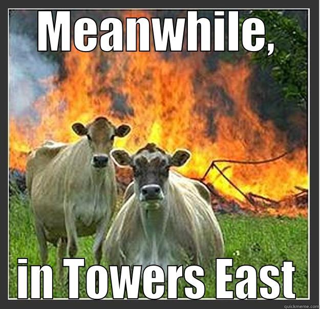 MEANWHILE, IN TOWERS EAST Evil cows