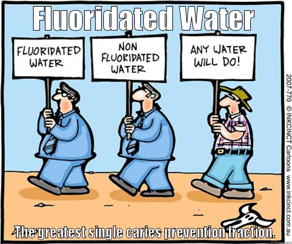 Fluoridated Water - FLUORIDATED WATER THE GREATEST SINGLE CARIES PREVENTION FRACTION. Misc