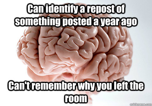 Can identify a repost of something posted a year ago Can't remember why you left the room  Scumbag Brain