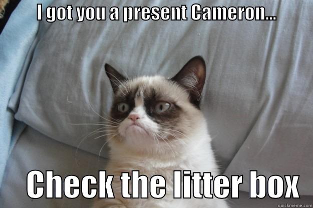           I GOT YOU A PRESENT CAMERON...                    CHECK THE LITTER BOX  Grumpy Cat