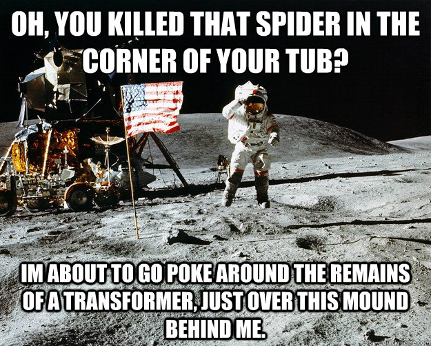 oh, you killed that spider in the corner of your tub? Im about to go poke around the remains of a transformer, just over this mound behind me.   Unimpressed Astronaut