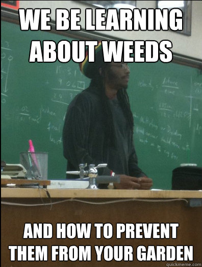 We be learning about weeds and how to prevent them from your garden   Rasta Science Teacher