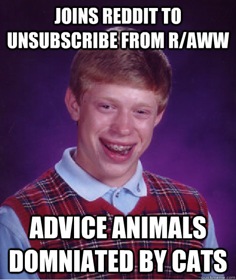 joins reddit to unsubscribe from r/aww advice animals domniated by cats   Bad Luck Brian