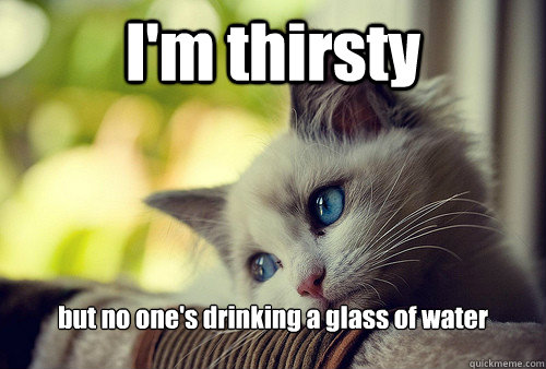 I'm thirsty but no one's drinking a glass of water  First World Problems Cat