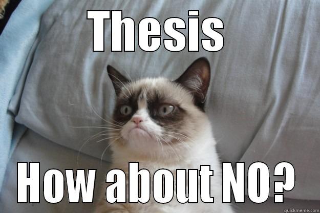 THESIS HOW ABOUT NO? Grumpy Cat