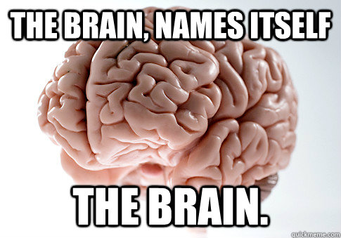 The Brain, names itself The Brain.  Scumbag Brain