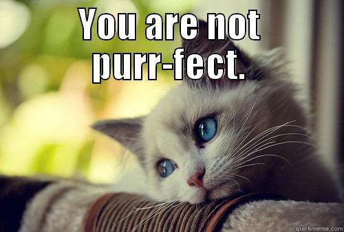 Get over yourself - YOU ARE NOT PURR-FECT.  First World Problems Cat