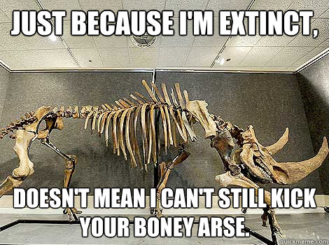 Just because I'm extinct, Doesn't mean I can't still kick your boney arse. - Just because I'm extinct, Doesn't mean I can't still kick your boney arse.  Pugnacious Black Rhino Skeleton